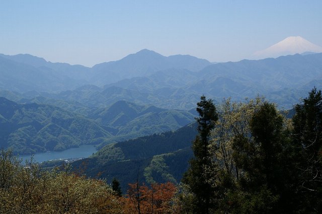 20070429_kagenobuyamajimbayama_004